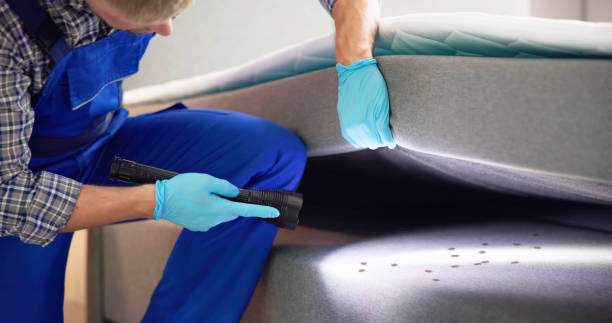 Best Bed Bug Extermination  in Citrus Heights, CA
