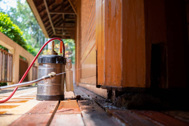 Pest Control Cost in Citrus Heights, CA