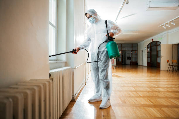 Best Flea Control Services  in Citrus Heights, CA