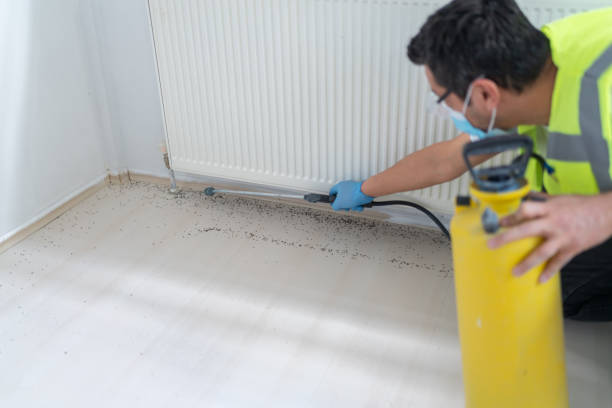 Professional Pest Control in Citrus Heights, CA