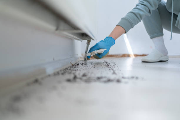 Best Pest Control Near Me in Citrus Heights, CA